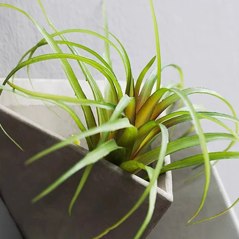 Ikebana Wall Vase – Modern Aesthetic Stem Holder & Home Decor - Nuvariq Goods